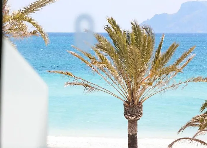 Bonavida Apartments Port d'Alcúdia